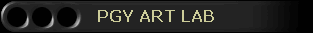 PGY ART LAB